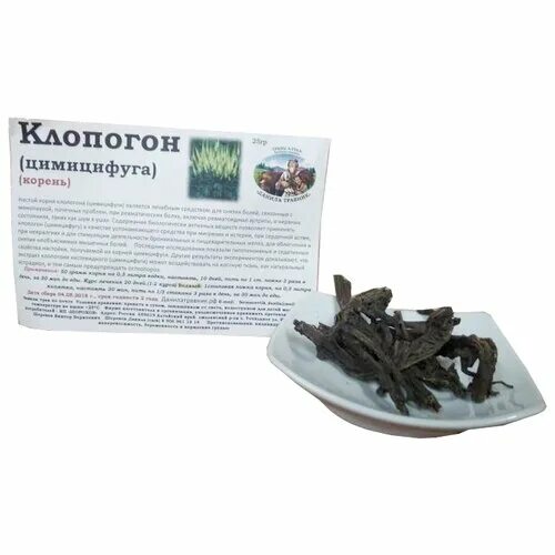 Корневища цимицифуги. Корневища цимицифуги. Корень клопогона кистевидного. Цимицифуга корень. Цимицифуги корневища с корнями.