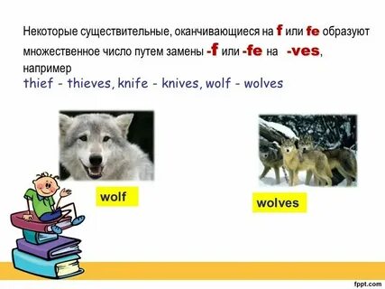 Образуй от слова волк