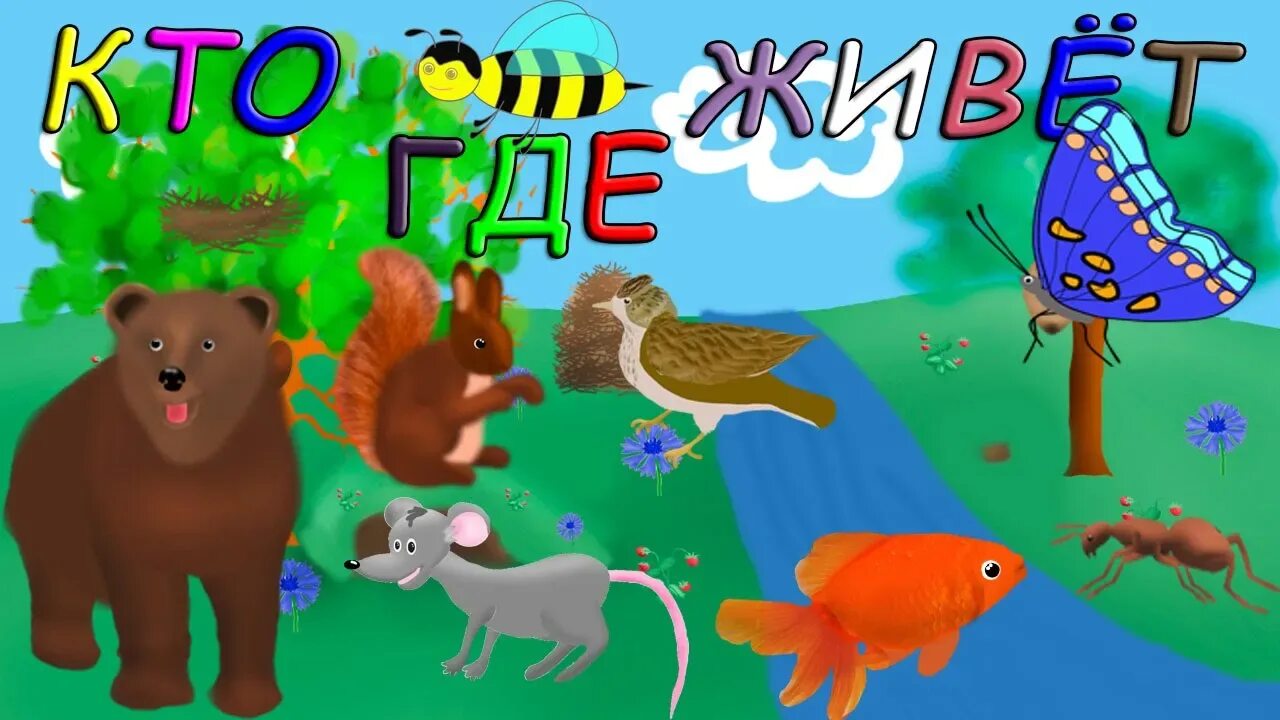 Кто где живет. Игра "кто где живет?". Обложка для игры кто где живет. Кто где живет игра для детей. Где живет ка