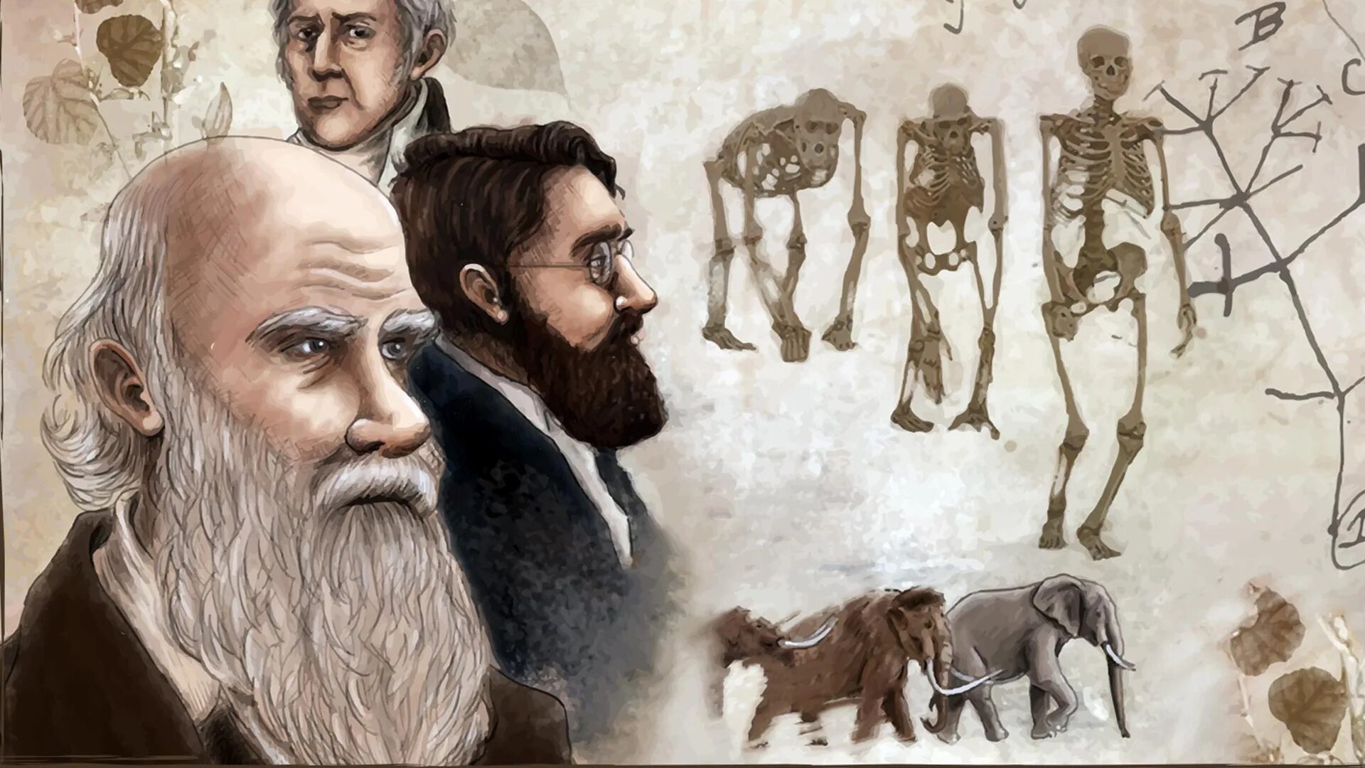 Жизни путем эволюции. Чарльз Дарвин и Уоллес. Чарльз Дарвин вегетарианец. Теория эволюции Дарвина и Уоллеса. Альфред Уоллес и Дарвин.