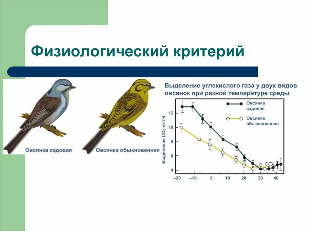 Физиологический критерий. Фищиологиечский Крите. Физиологические признаки особей