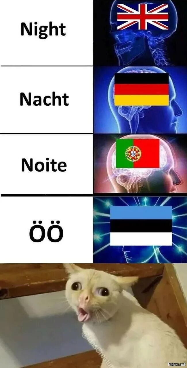 Кот произносим