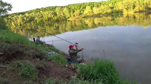 Видео ловля удочкой летом