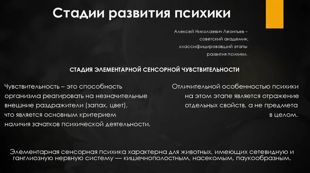 Стадии развития психики. Сенсорная стадия развития психики характеризуется. Стадии развития психики Леонтьев. Стадия элементарной сенсорной психики по Леонтьеву. Стадии леонтьев и фабри