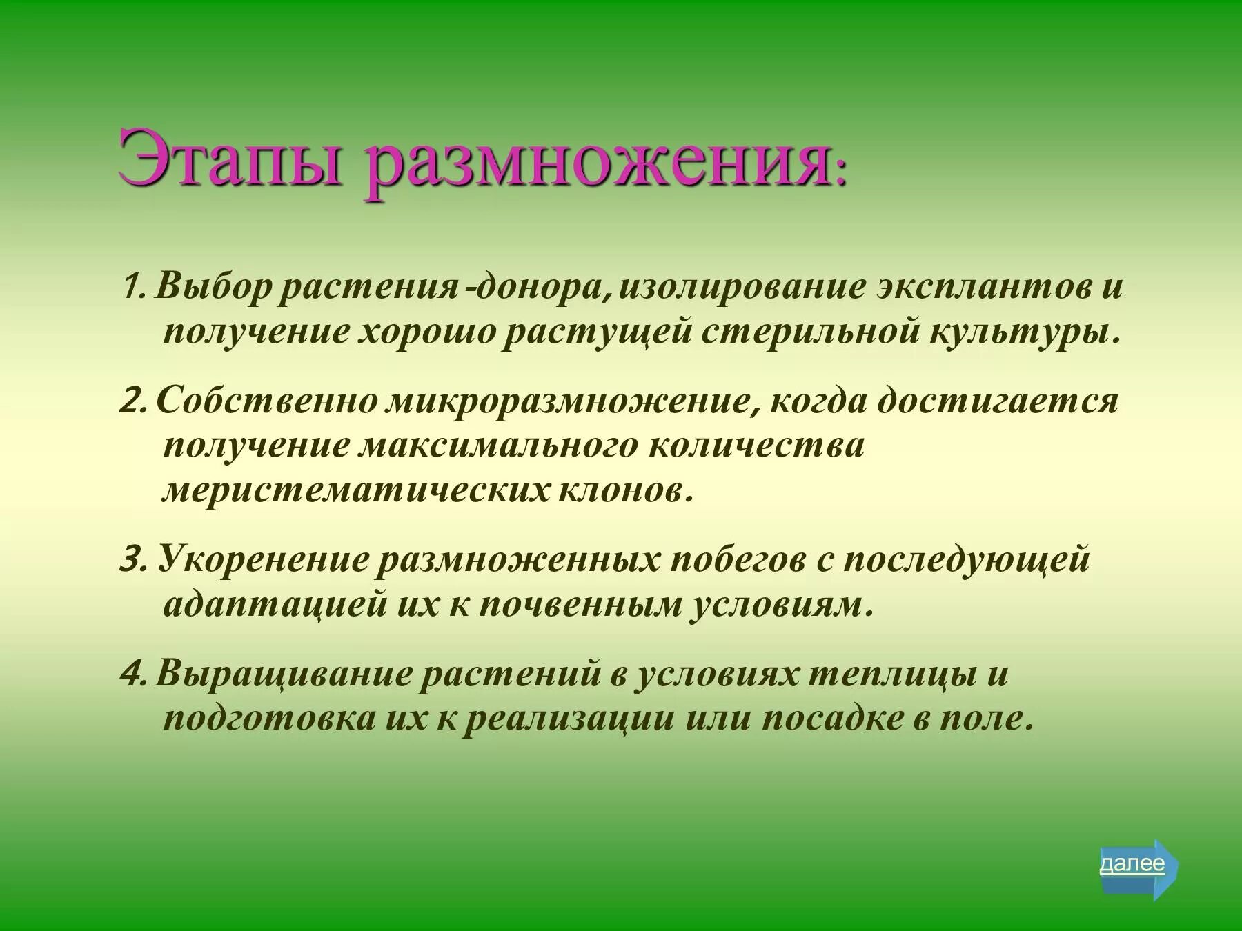 Растения доноры. Этапы многоклонального размножения. Этапы размножения растений. Микроклональное размножение растений этапы. Микроклональный метод размножения.