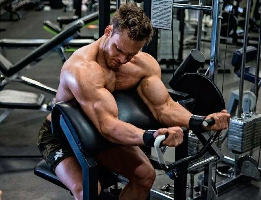 Бицепс в тренажере. Подъем на бицепс в тренажере скотта. biceps curl тренажер. бицепс на скамье скотта. ларри скотт тренажер.