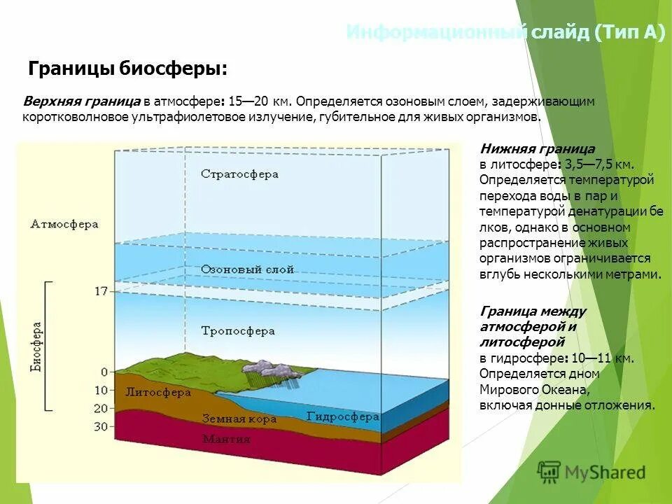 Воды нижняя граница. Нижняя граница биосферы. Границы биосферы 6. Верхняя и нижняя граница биосферы. Границы биосферы атмосфера гидросфера литосфера.