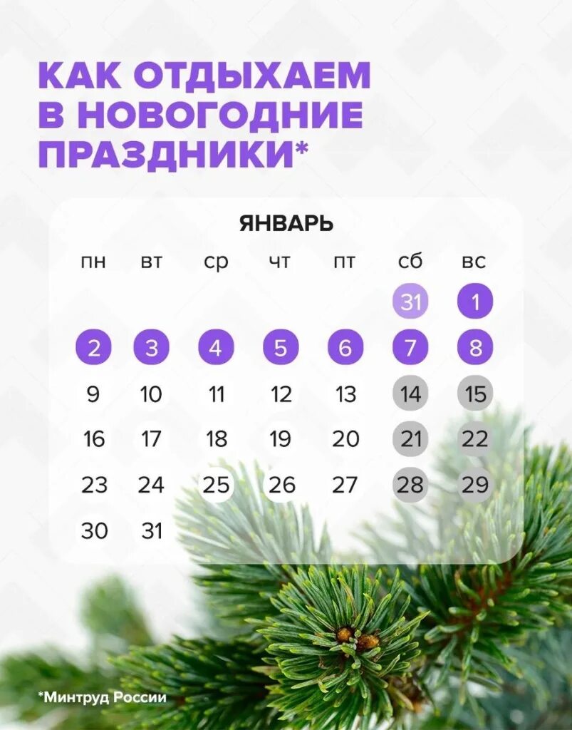 График января 2023. График на новогодние праздники. Режим работы. График работы в новогодние праздники. Режим работы в новогодние каникулы.