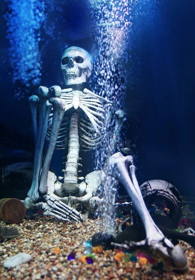 Скелет в воде. Скелет в воде
