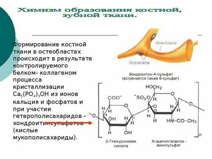Мукополисахарид