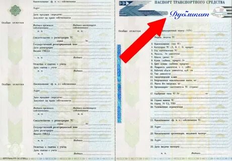 Тип транспортного средства по птс где