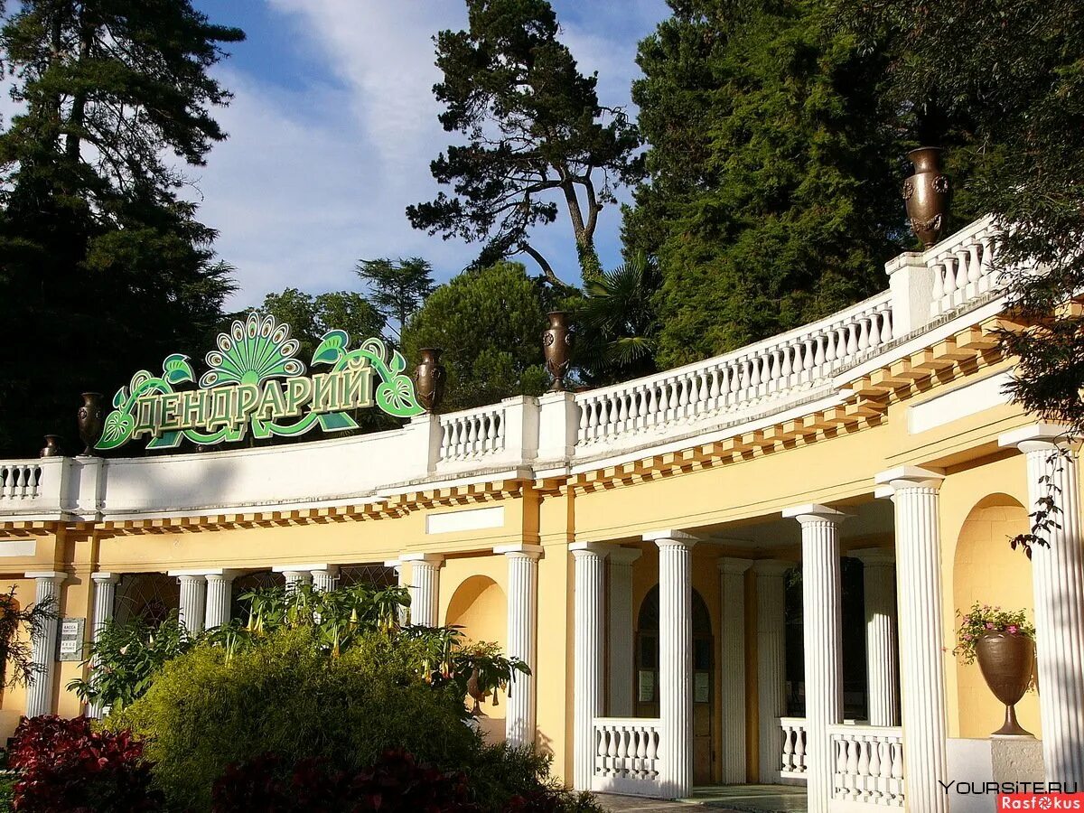 Дендрарий ривьера сочи. Дендрарий адлер платан. Достопримечательности сочи дендрарий. Парк дендрарий сочи. Парк дендрарий адлер.