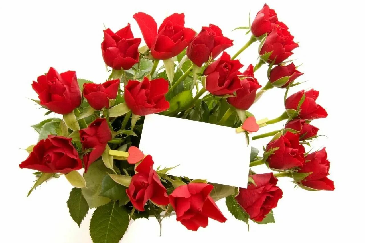С днем рождения женщине галочка. Поздравляю! (Цветок). Цветы поздравления. Поздравление цветы картинки. Поздравление цветы для женщины.
