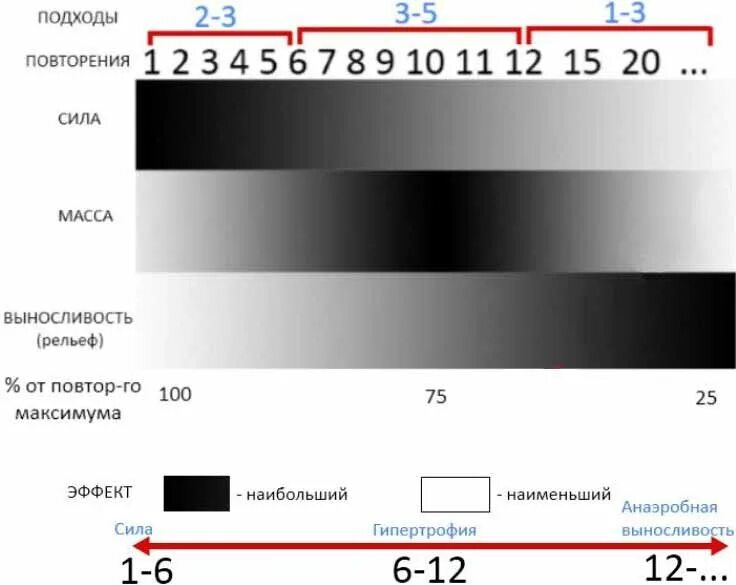 Сколько подходов и повторений