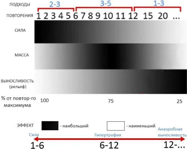 Сколько секунд на массу. Количество подходов и повторений для роста мышц. Сколько нужно делать подходов и повторений для роста мышц. Количество повторов и подходов. Подходы и повторения на силу.