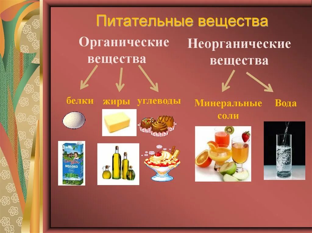 Пищевые вещества продуктов питания. Питательные вещества в продуктах питания. Пища и питательные вещества. Пищевые продукты и пищевые вещества. Органические вещества в пищевых продуктах.