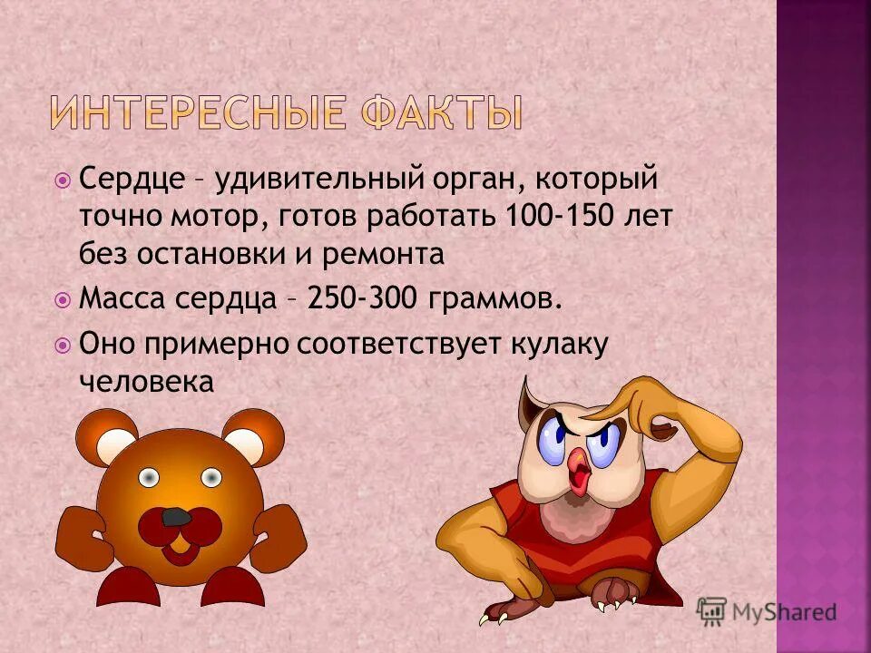 Какова их. Какова их
