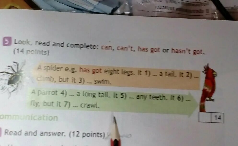 Английский язык look read and complete: can, can’t, has got or hasn't got. Look read and complete 3 класс. Look read and complete :can, cant, has got or hasnt got 14 points номер 5. Look read and complete can can't has got or hasn't got 3 класс.