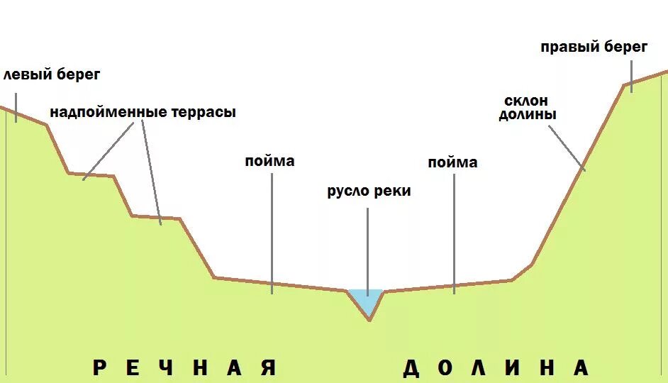 Части Речной Долины схема. Русло реки Речная Долина терраса Пойма. Строение Поймы реки схема. Строение и форма речных Долин. Пойма это простыми словами