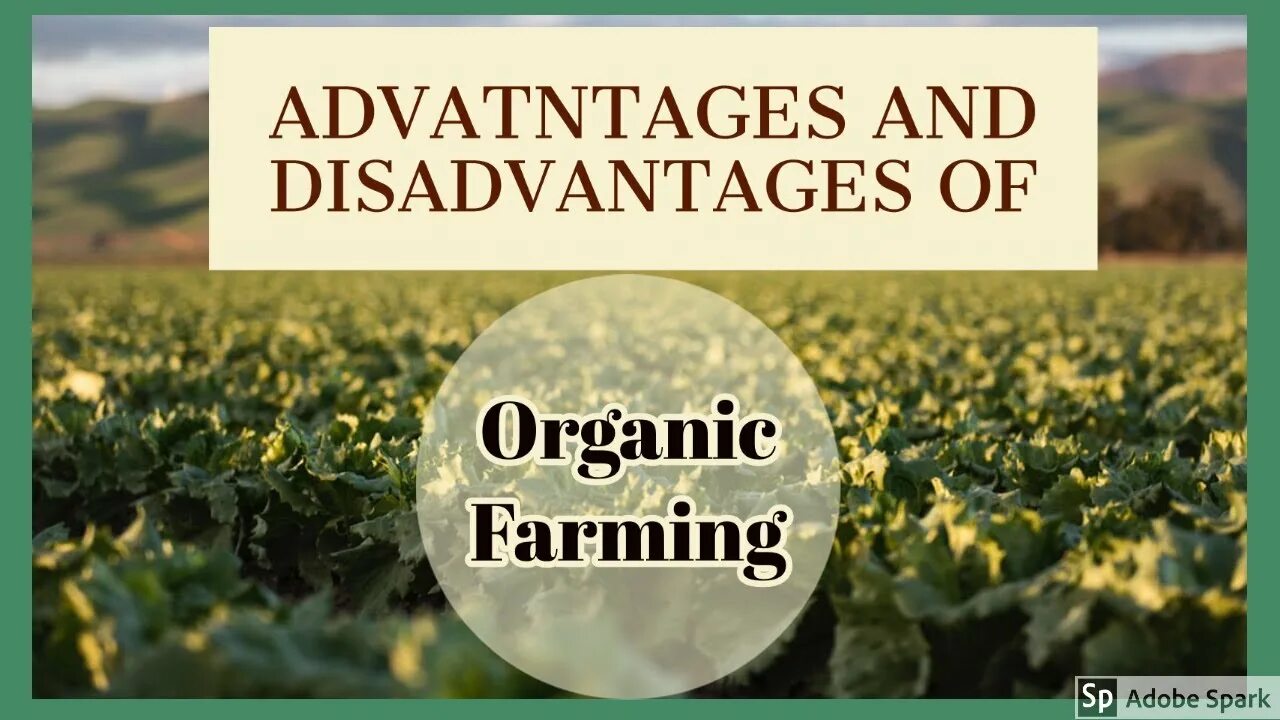 Conventional farming vs organic farming. What is organic farming. Органическое сельское хозяйство. Why organic farming. Текст organic foods.