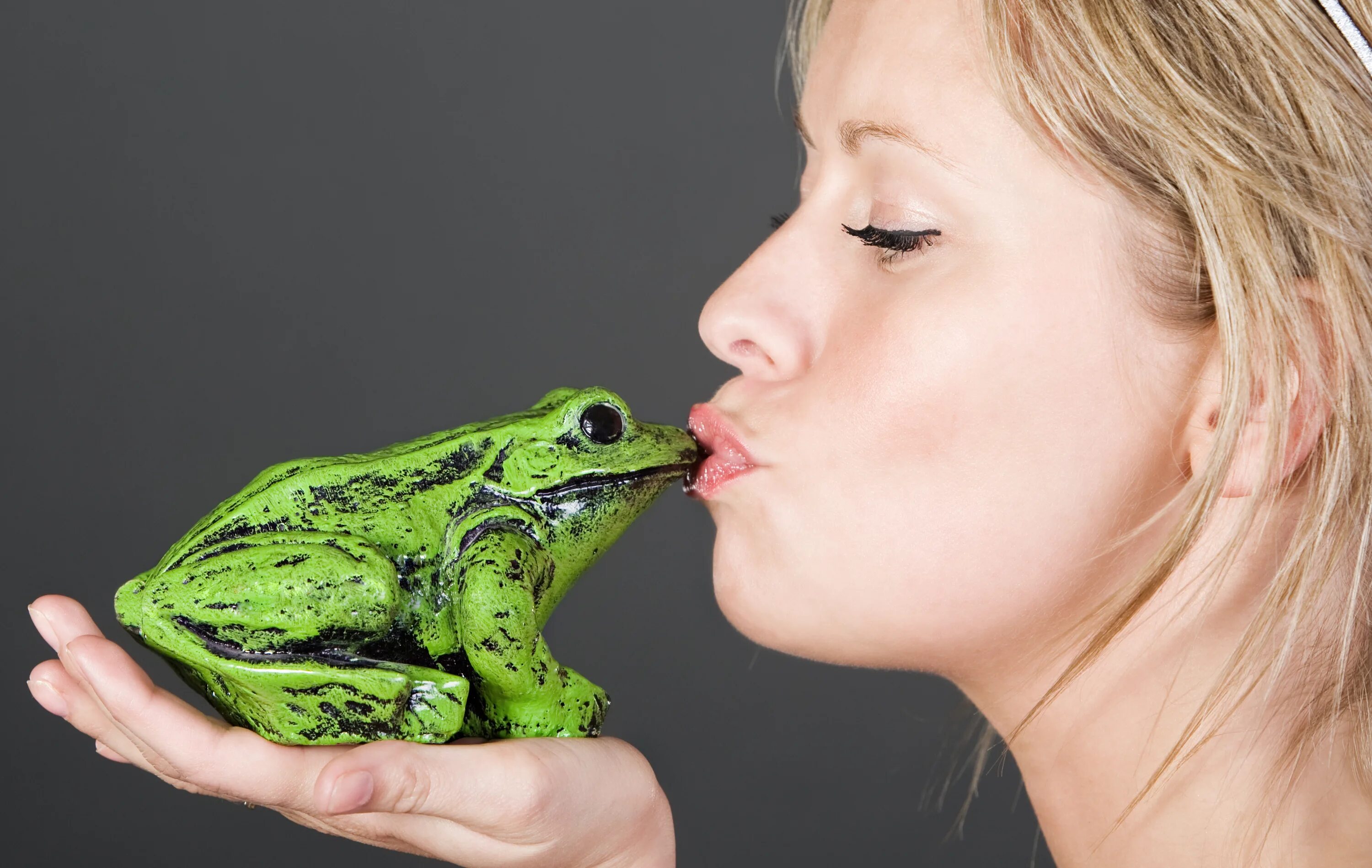 Жаба на ладошке. Девочка целует лягушку. She a frog. Девушка целует лягушку. She a frog.