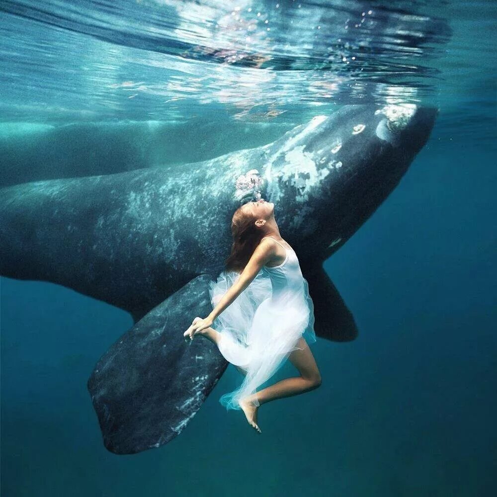 Кит личная жизнь. Девушка и кит. Человек в океане. Фотосессия с китами. Девушка плавает с китами.