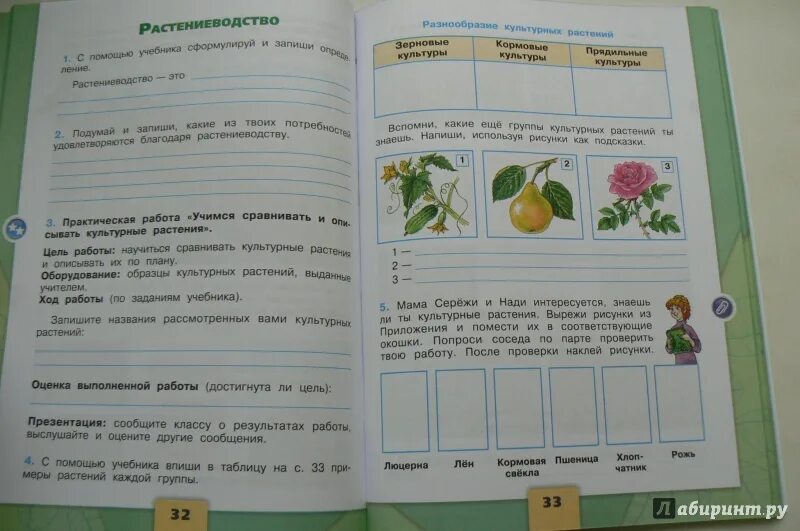 Домашнее задание по окружающему миру страница 29. Окружающий мир 3 класс рабочая тетрадь. Окружающий мир рабочая тетрадь Растениеводство. Окружающий мир 3 класс 2 часть. Рабочая тетрадь по окружающему миру 3 класс.