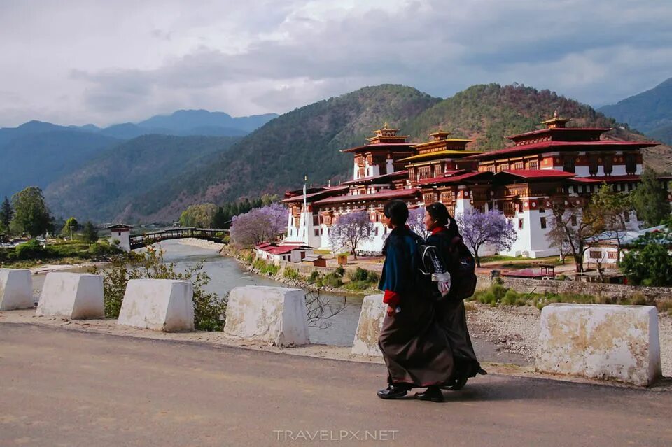 Бутан Гималаи. Монастырь Дечен Пходранг. Бутан королевство счастья. Монастырь гянгтей бутан.