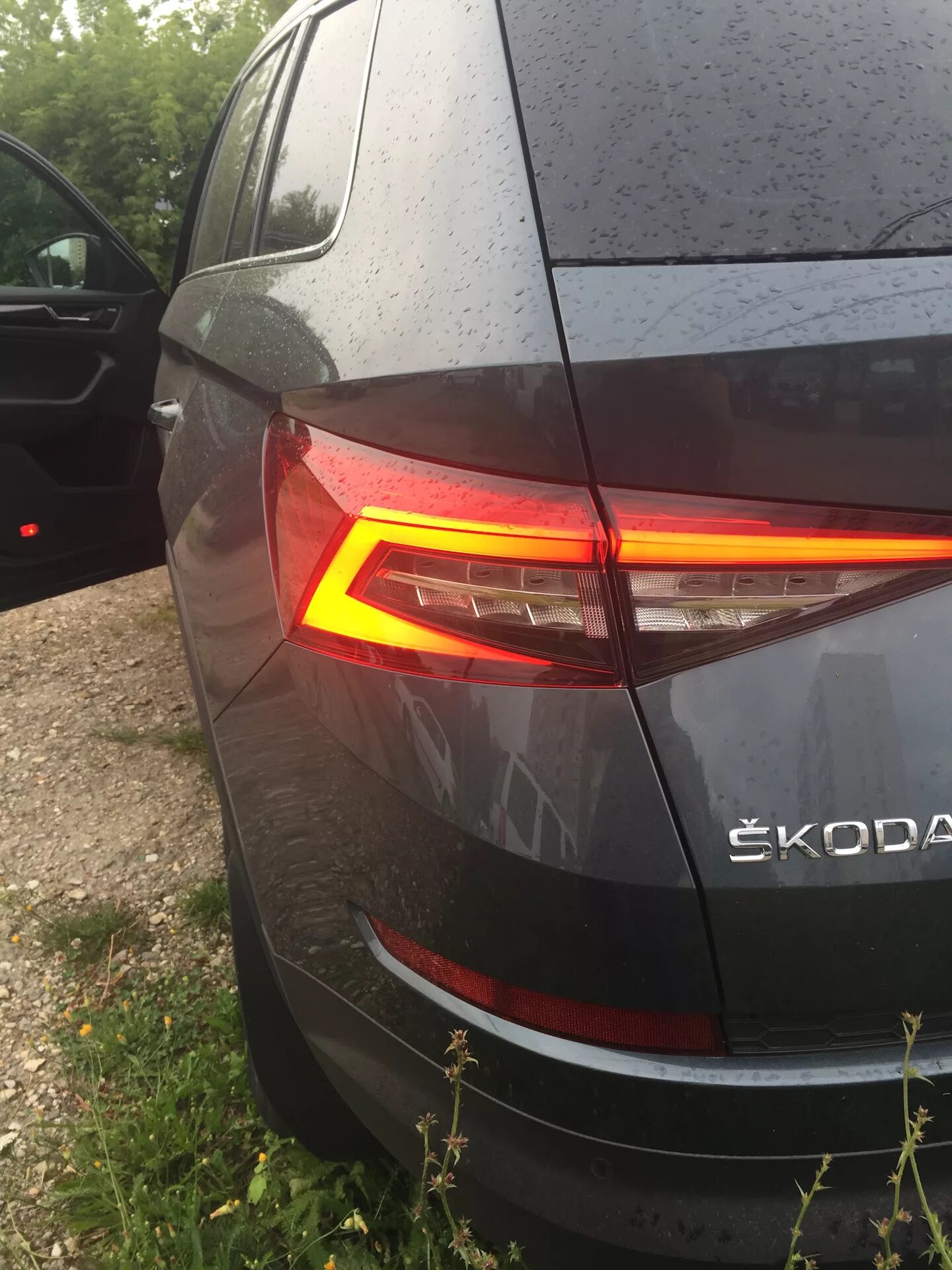 Kodiaq фонарь заднего хода. Кодиак фонари заднего хода. Skoda karoq led фары. Задний фонарь кодиак. Фонари шкода кодиак.