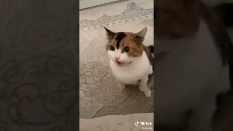 Жағажайда жалаңаш түрік әйелдері