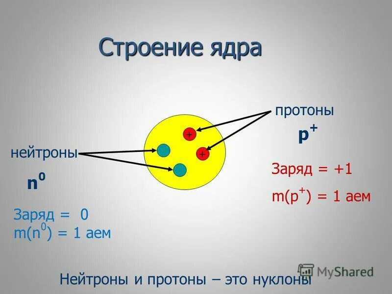 Сколько протонов и нейтронов содержит ядро атома