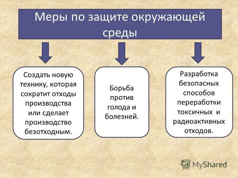 Общество и природа 6 класс презентация