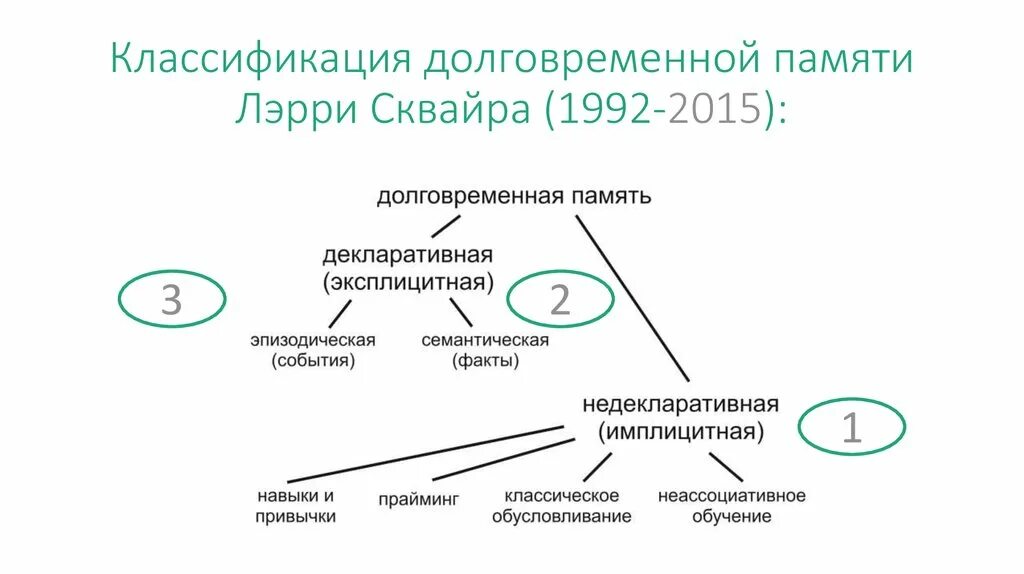 Эксплицитная память. Классификация долговременной памяти. Формы организации долговременной памяти. Формы организации материала долговременной памяти. Структура долговременной памяти.