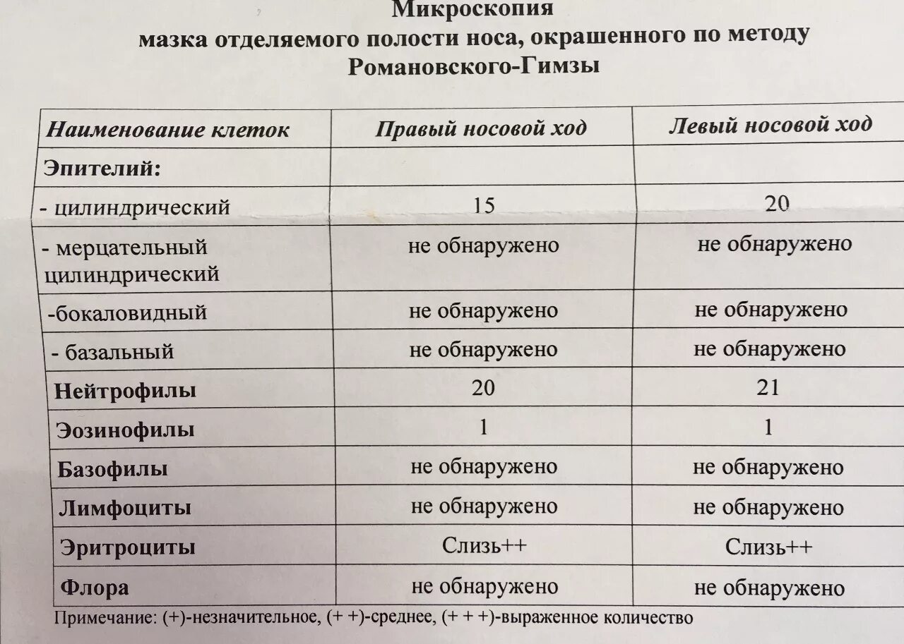 Эпителий какая норма. Эпителиальные клетки в мазке из носа. Микроскопическое исследование мазка из носа. Эпительные клетки в мазке из носа. Микроскопический анализ мазка.