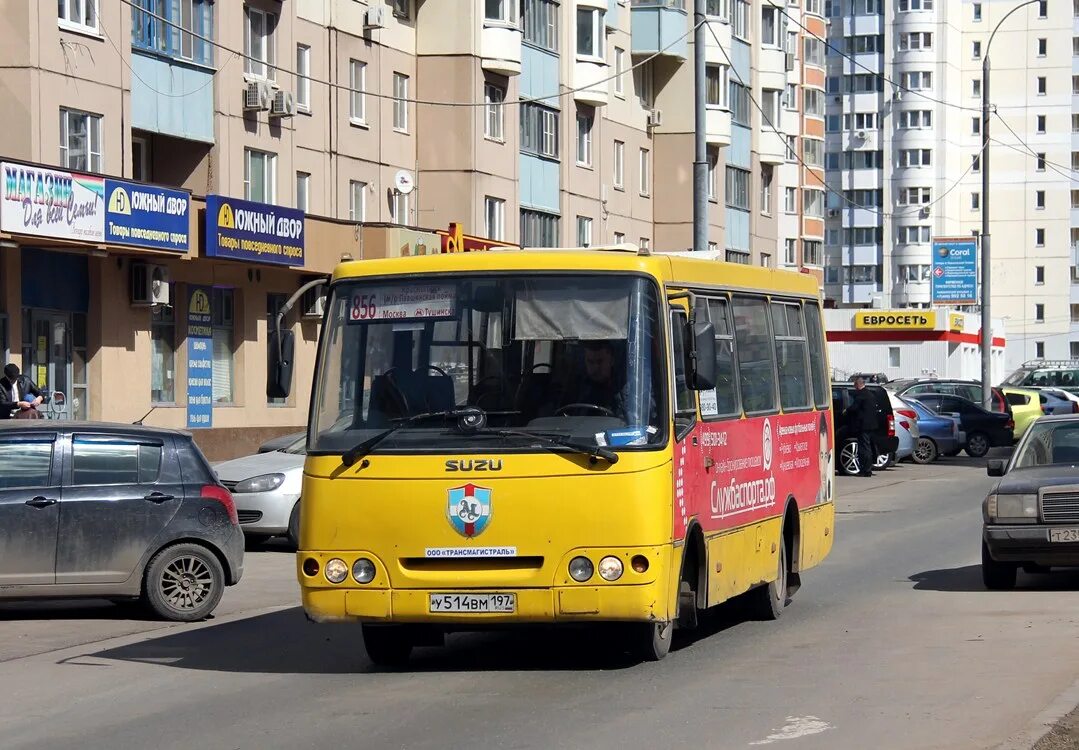 Агат вм жуковский. Агат вм жуковский