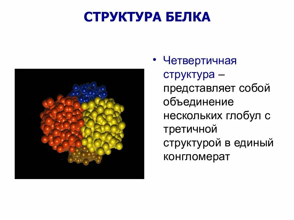 Структура белка представленная глобулой. Четвертичная структура белка представляет собой. Структурный белок. Четвертичная структура белка. Презентация на тему белки по химии.