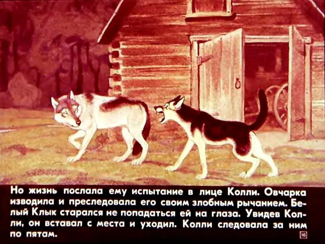 Где жил чинк со своим хозяином найдите