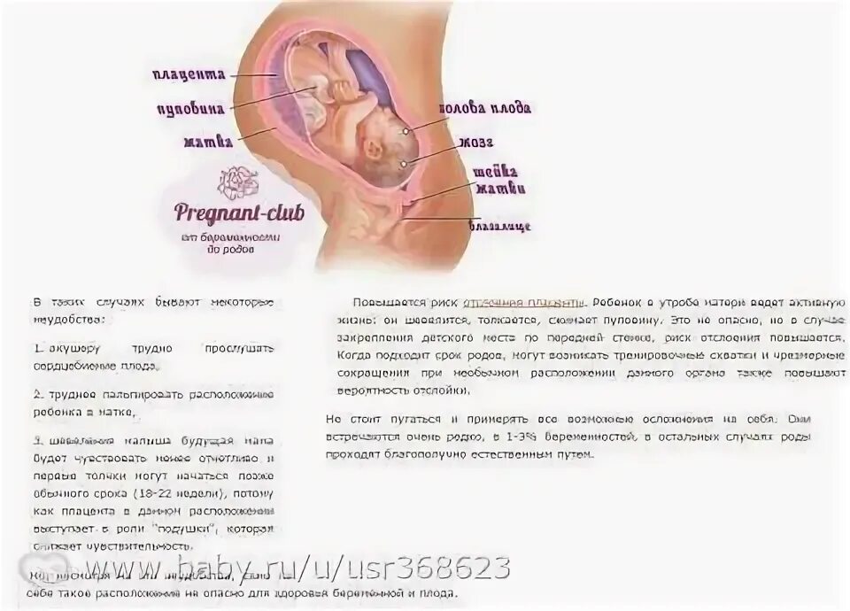 Неделя беременности шевеления плода. Сроки первого шевеления плода. Шевеления ребёнка в животе. Начала 38 недели беременности