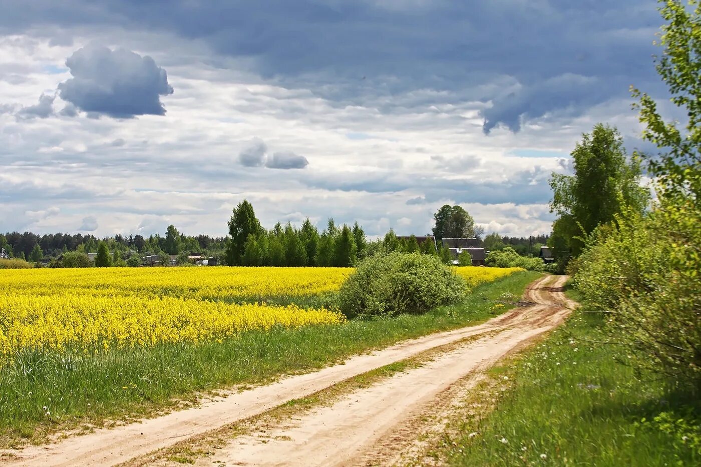 Поселковая дорога. Сельская Проселочная дорога. Проселочная дорога в поле. Лес Проселочная дорога Россия. Проселочная грунтовая дорога.