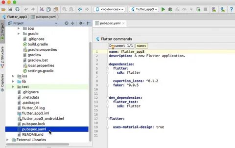 Flutter sdk