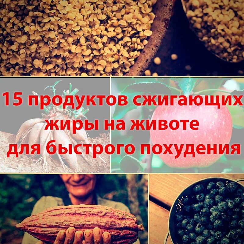 Продукты похудения сжигающие жир. Продукты сжигающие жир. Еда для сжигания жира. Какие продукты сжигают жир. Фрукты которые сжигают жир на животе.