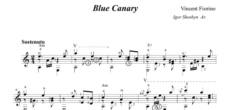 Blue Canary Ноты для гитары. Vincent Fiorino Blue Canary. Голубая канарейка Ноты. Песня Blue Canary Vincent Fiorino. Blue canary текст