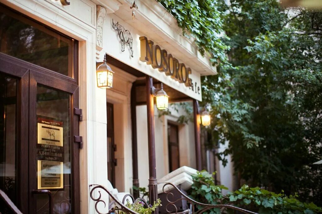 Ресторан носорог волгоград. Носорог кафе волгоград. Носорог кафе волгоград. Картина дали с носорогами. Носорог волгоград.