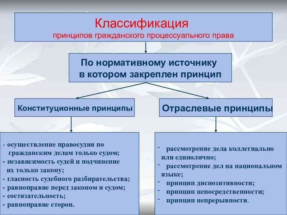 Конституционные принципы гражданского процессуального