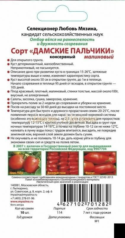 Сахарные мизинчики сорт томата. Томат пальчики характеристика и описание. Дамские пальчики сорт помидор. Томат дамские пальчики аэлита. Томат дамские пальчики f1.