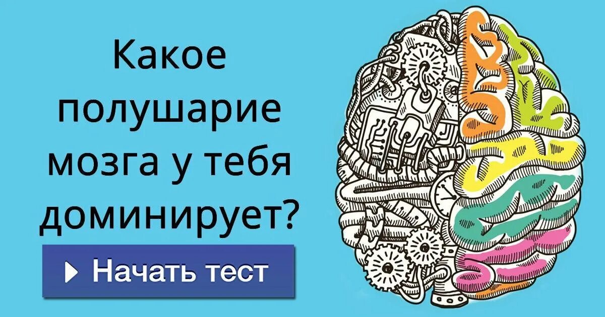 Мозг на японском. Полушария мозга. Тестируем оба полушария мозга. Левое и правое полушарие. Полушария мозга картинка.