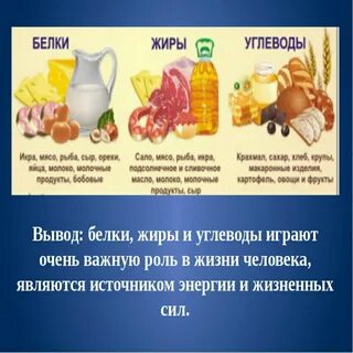 Являются главными источниками энергии белки или углеводы