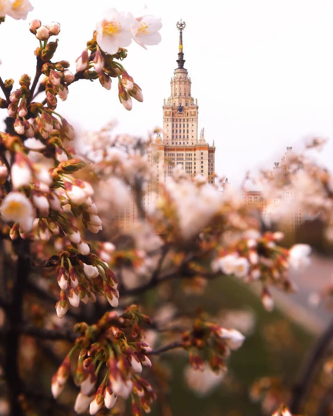 Мгу весной. Москва весной. Красивая Весенняя Москва.