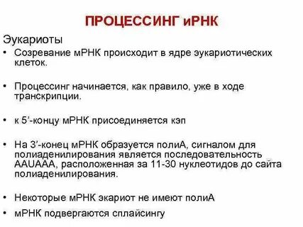 Процессинг созревание ирнк