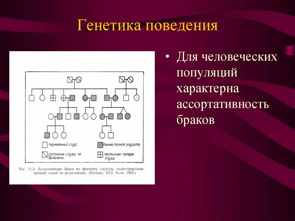 Ассортативные браки генетика. Генетика поведения. Система браков в генетике. Типы брака в генетике.